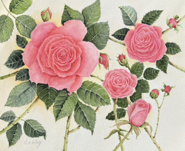 Vintage Roses