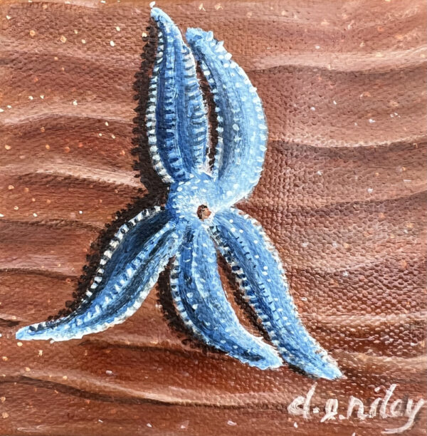 Ballerina Starfish